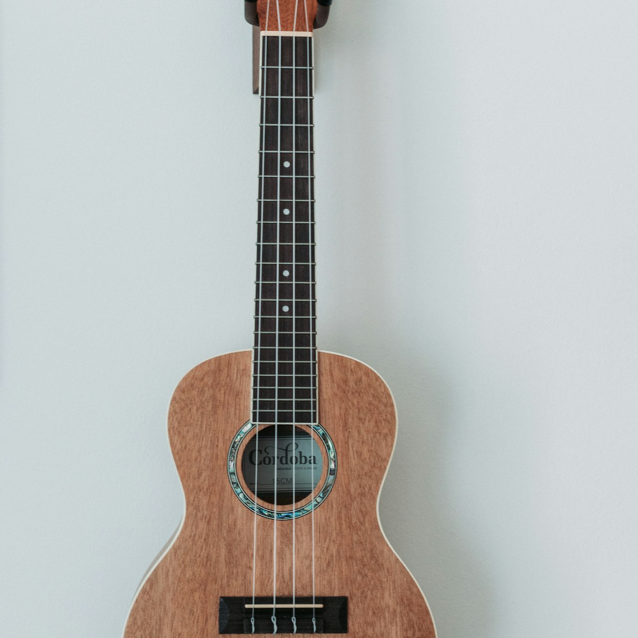 Ukulele